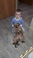 Андрей играл со свой собакой